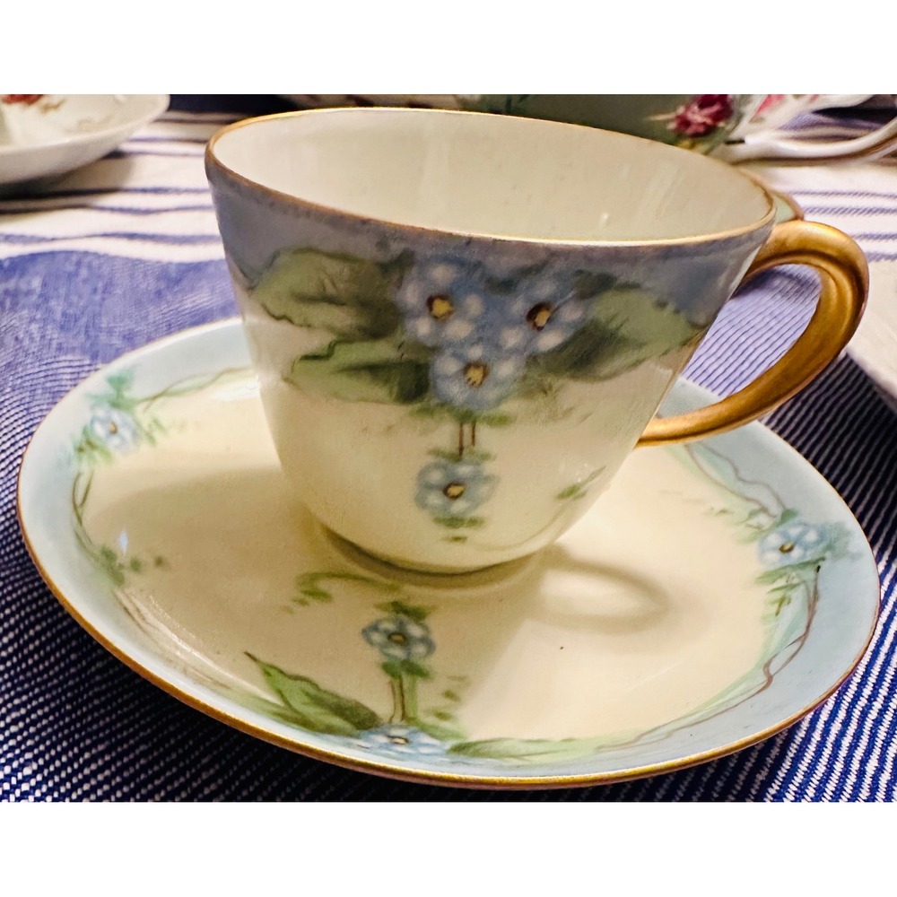 Richard Ginori Italy Hand Painted Forget Me Not Floral Tea Cup‎ Saucer